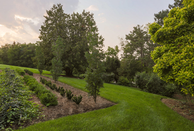 Refined image lawn and landscape, softscapes, snow & ice, lawn cutting & maintenance, residential & commercial lawn care, dunnville, ON